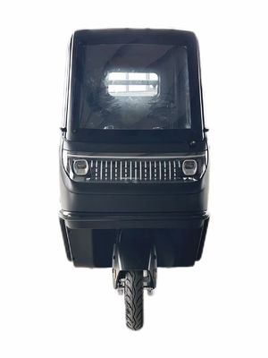 Opcional 1000/1200/2000/3000W Triciclos eléctricos para familia 3 ruedas E-Bike y Pedicab