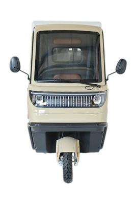 Triciclos eléctricos 3 ruedas E-Bike Motos de tres ruedas con 70-90 km de recorrido