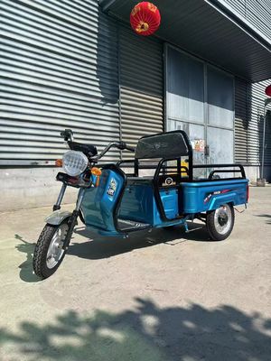 Granja personalizada 1200W Triciclo eléctrico motocicleta con sistema de freno de tambor delantero trasero