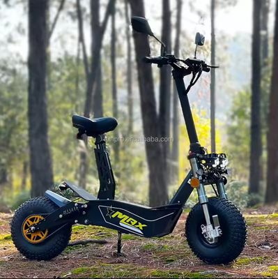 Fuera de la carretera 2000W 3000W Mobilidad Scooter eléctrico COC CEE Motor sin escobillas 10 pulgadas Hub Motor Scooter eléctrico Motocicleta con CE