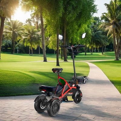 Scooter eléctrico con dos motores sin escobillas y marco de acero 48V500W*2 batería de litio