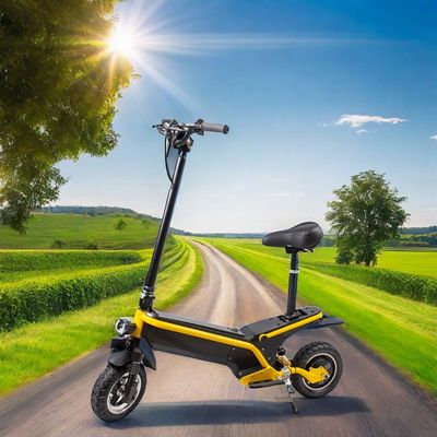 350W/500W Batería E-Scooter extraíble con diseño plegable y alcance máximo de 35KM/45KM