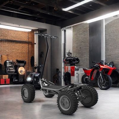 OEM Smart Sensor Digital Electrónico Bluetooth 2kw 48V30ah Scooter eléctrico para todo terreno