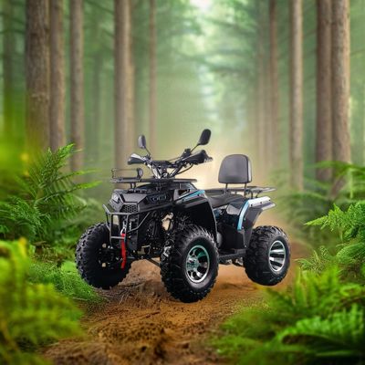 200CC ATV 250CC ATV Adulto ATV Quad Bike con accionamiento por cadena y arranque eléctrico de 1000W