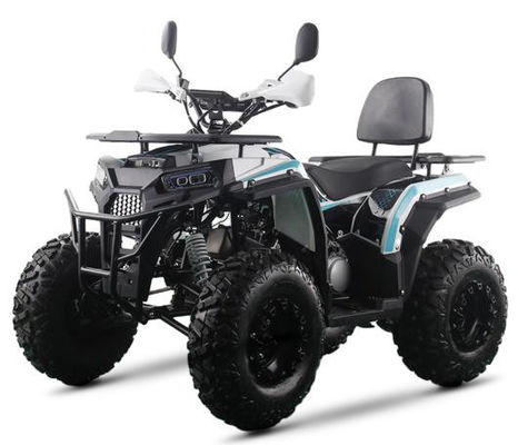 200CC ATV 250CC ATV Adulto ATV Quad Bike con accionamiento por cadena y arranque eléctrico de 1000W