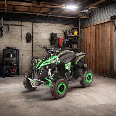Tamaño de las ruedas R 14*5.00-6 49CC AUTOMÁTICO Mini Electric start ATV Quad Bike con aprobación CE