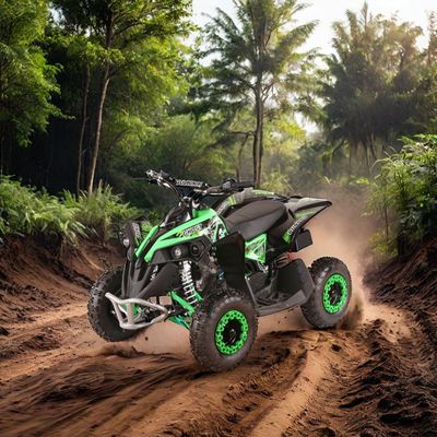 Tamaño de las ruedas R 14*5.00-6 49CC AUTOMÁTICO Mini Electric start ATV Quad Bike con aprobación CE