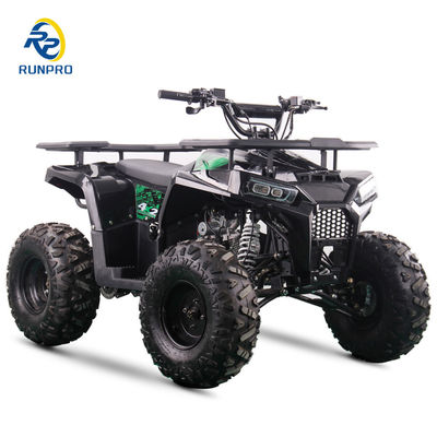 2WD todo terreno Doble de cuatro ruedas Beach Buggy con 100-200 kg de capacidad de carga útil Perfecto