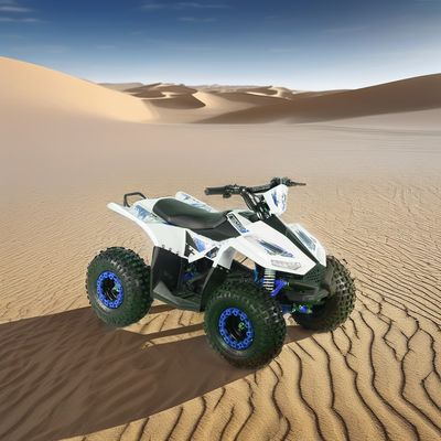 Kids Electric ATV Quad Bike con distancia entre ruedas de 600-1000 mm y tamaño general de 1250x760x800 mm