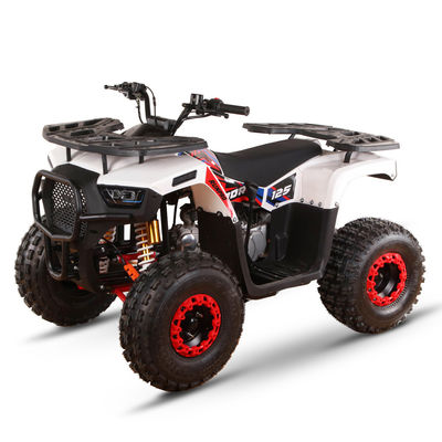 Certificado CE de gas para niños Quad Bike 110cc 125cc ATV Cuatro ruedas con accionamiento de cadena
