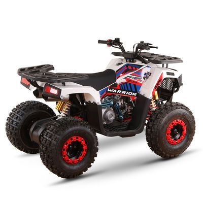 Certificado CE de gas para niños Quad Bike 110cc 125cc ATV Cuatro ruedas con accionamiento de cadena