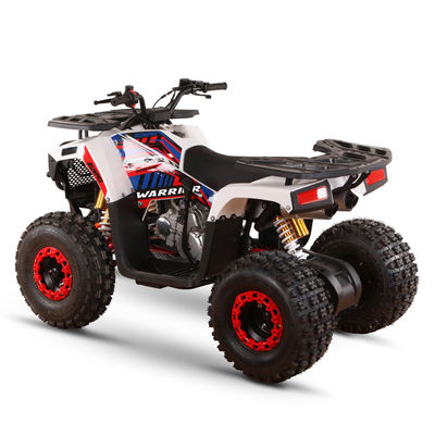 Todo terreno 110cc 125cc Quad Bikes para adultos Carga máxima 150kgs Transmisión de accionamiento por cadena