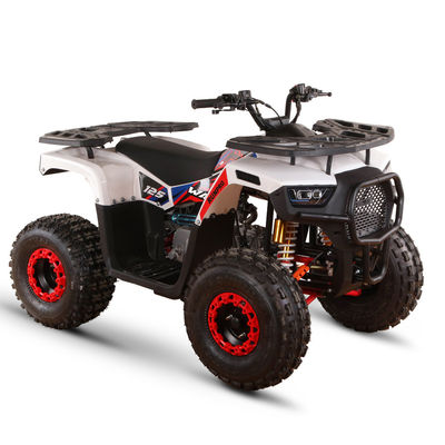 Todo terreno 110cc 125cc Quad Bikes para adultos Carga máxima 150kgs Transmisión de accionamiento por cadena