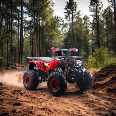 Potentes 125cc Quads ATV de combustible de gas con tipo de conducción 2WD y características interesantes
