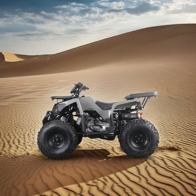 Potente ATV de gas de 200cc para adultos Torque máximo de 40-60Nm y velocidad máxima de 75km/h
