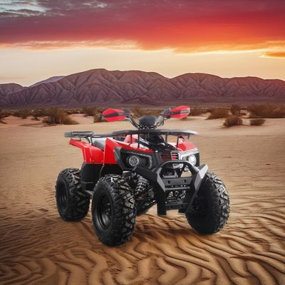 Potente ATV de gas de 200cc para adultos Torque máximo de 40-60Nm y velocidad máxima de 75km/h