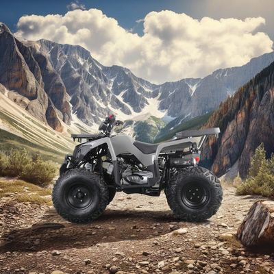 Potente ATV de gas de 200cc para adultos Torque máximo de 40-60Nm y velocidad máxima de 75km/h
