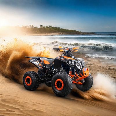 Transmisión con accionamiento en cadena 125CC ATV 4 ruedas con motor potente y certificación CE