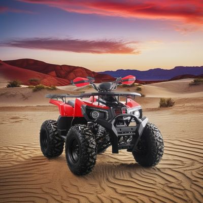 2024 Runpro 10 pulgadas neumático de acero 200cc ATV con luz LED liberar su aventurero interior