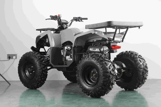 Fuera de la carretera 10 pulgadas neumático 200cc 250cc adulto quad ATV con arranque automático y accionamiento de cadena