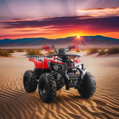 Fuera de la carretera 10 pulgadas neumático 200cc 250cc adulto quad ATV con arranque automático y accionamiento de cadena