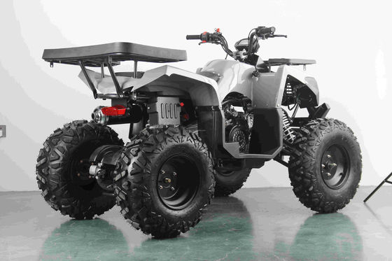 Fuera de la carretera 10 pulgadas neumático 200cc 250cc adulto quad ATV con arranque automático y accionamiento de cadena