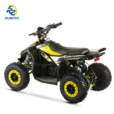 Certificado CE 1000W 36V 48V Mini Electric Quad Bike Perfecto para las aventuras al aire libre de los niños