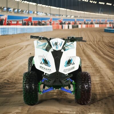 1250x760x800MM Combustible eléctrico ATV 4 ruedas del eje de conducción Quad Bike para las carreras de motocicletas