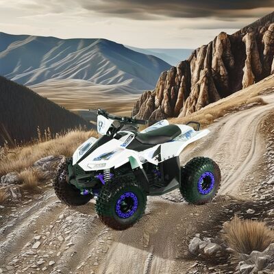 1250x760x800MM Combustible eléctrico ATV 4 ruedas del eje de conducción Quad Bike para las carreras de motocicletas