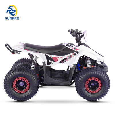 1250x760x800MM Combustible eléctrico ATV 4 ruedas del eje de conducción Quad Bike para las carreras de motocicletas