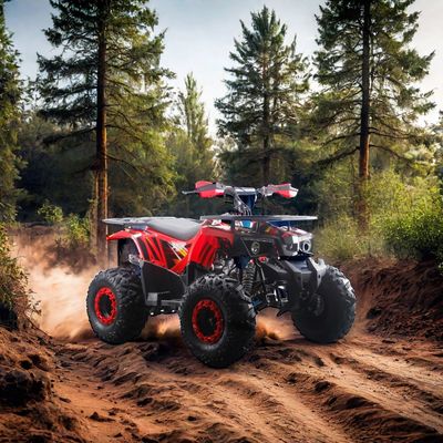 ATV de 125cc para niños RunPro 2024 Electric Start Farm Quad Bike Chain Drive CE Automático
