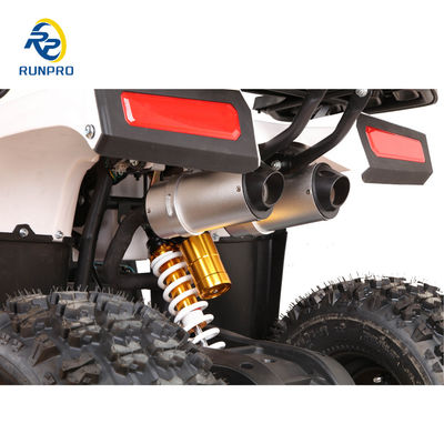 110cc Sirus 125cc ATV Quad Bike con capacidad de carga útil 100-200kg RUNPRO Profesional 2024