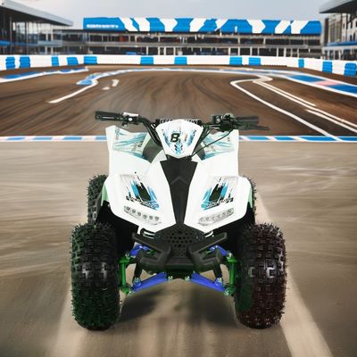 1200W Electric ATV 4-Wheel Quad Bike con motor de accionamiento del eje y diseño de rueda grande