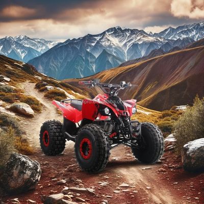 Bicicleta eléctrica para niños ATV certificada CE con motor de 1500W y batería de plomo y ácido de 48V12AH