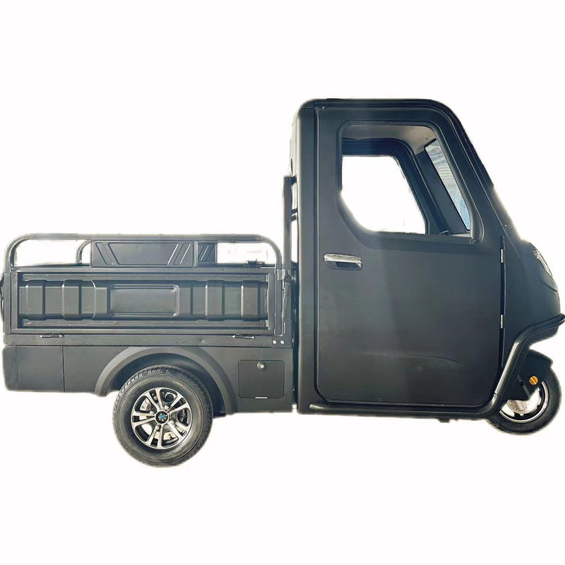 Opcional 1000/1200/2000/3000W Triciclos eléctricos para familia 3 ruedas E-Bike y Pedicab