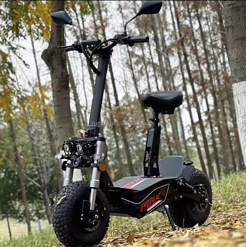 Fuera de la carretera 2000W 3000W Mobilidad Scooter eléctrico COC CEE Motor sin escobillas 10 pulgadas Hub Motor Scooter eléctrico Motocicleta con CE