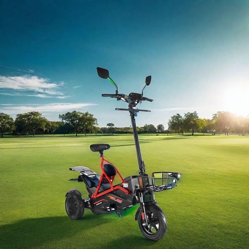 Scooter eléctrico con dos motores sin escobillas y marco de acero 48V500W*2 batería de litio