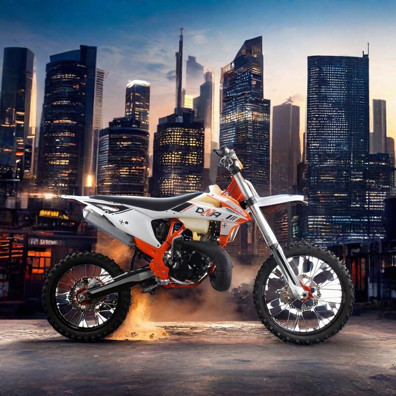 Motor de 2 tiempos con accionamiento en cadena Motocicleta para adultos 250cc Motocross todoterreno