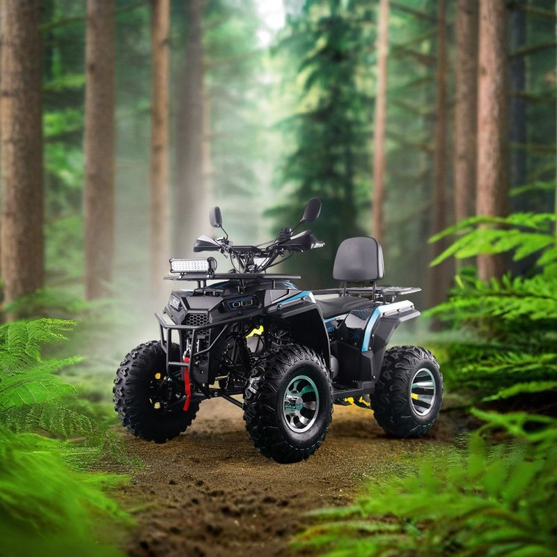 200CC ATV 250CC ATV Adulto ATV Quad Bike con accionamiento por cadena y arranque eléctrico de 1000W
