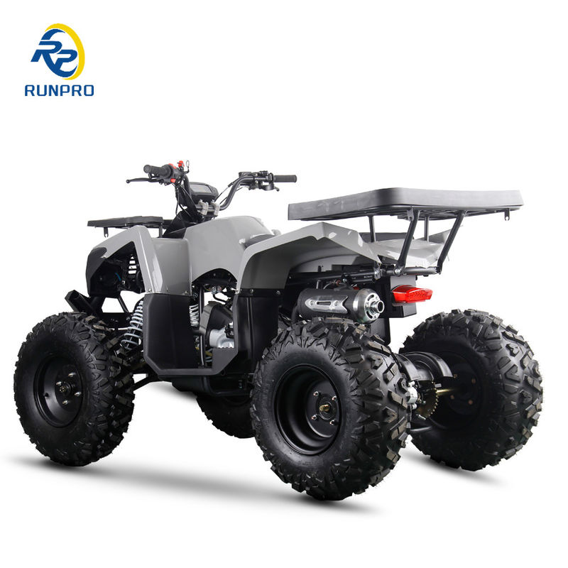 200cc 10 pulgadas Rueda de acero 2WD ATV Fuera de la carretera Cuatro ruedas Motocicleta UTV Granja Motor Quad Bike