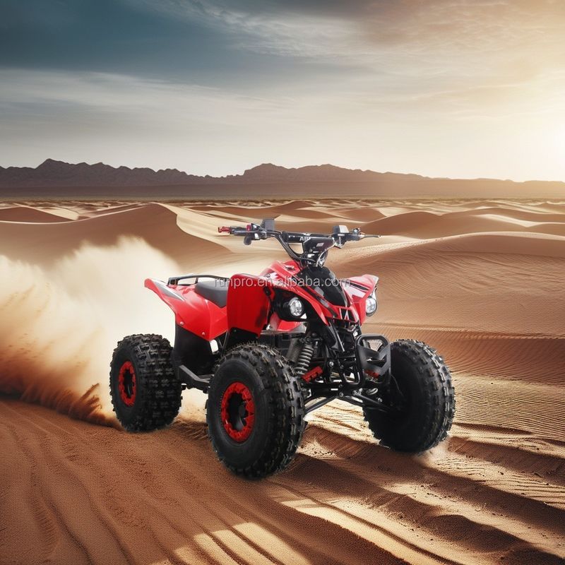 Bicicleta eléctrica para niños ATV certificada CE con motor de 1500W y batería de plomo y ácido de 48V12AH